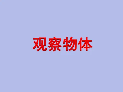 二年级上册数学课件-7.2 观察物体丨苏教版 (共17张PPT)