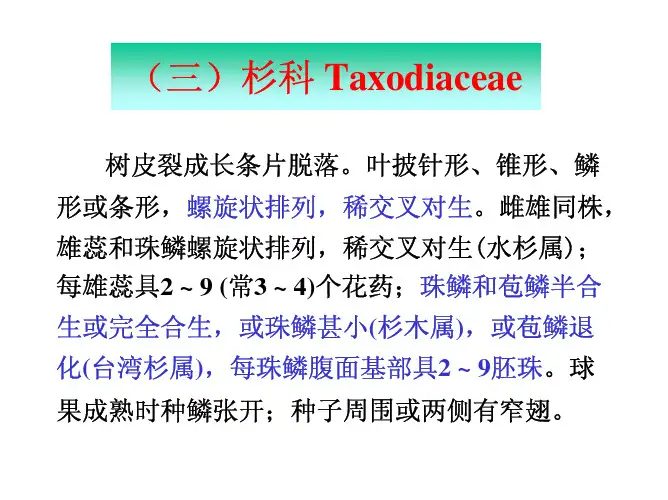 植物科属分类杉科
