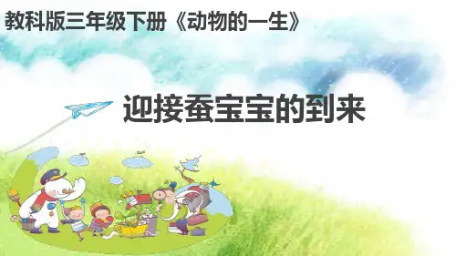 《迎接蚕宝宝的到来》--完整版PPT课件 (2)精选全文