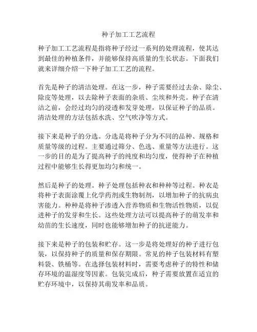 种子加工工艺流程