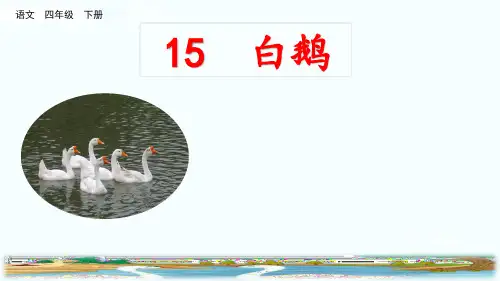 部编版语文四年级下册课件-第四单元-15 白鹅5