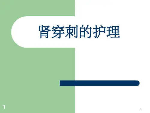 肾穿刺护理ppt课件