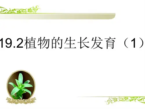 苏科版八年级上册生物：第2节 植物的生长发育》(4)