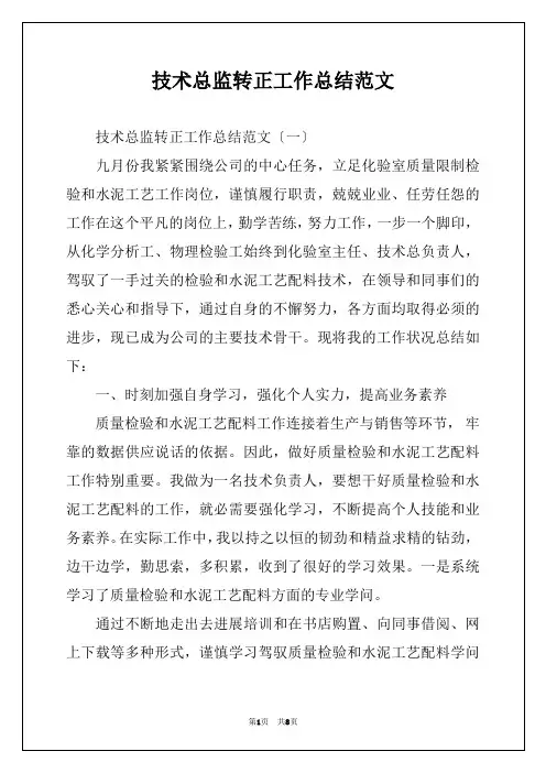 技术总监转正工作总结范文