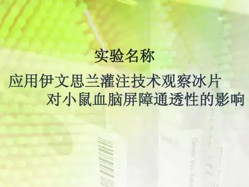 应用伊文思兰灌注技术观察冰片