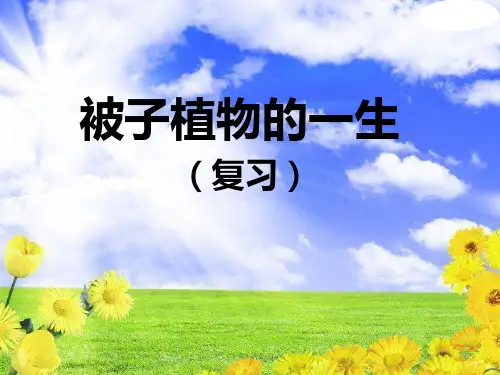 生物中考---《被子植物的一生》复习课