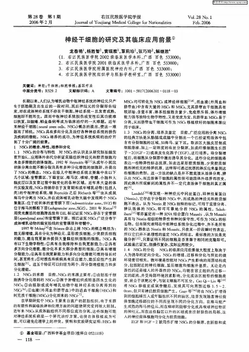 神经干细胞的研究及其临床应用前景