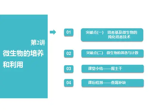 高考生物一轮复习课件：选修1 第2讲 微生物的培养和利用