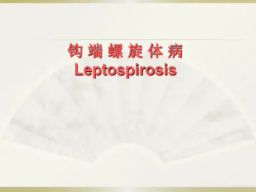 精品医学PPT课件：钩端螺旋体病
