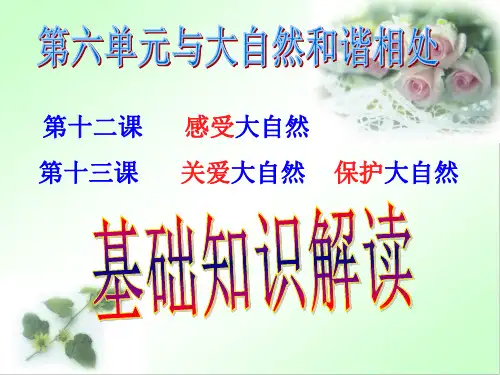 6单元与大自然和谐相处复习