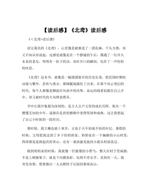 【读后感】《北鸢》读后感