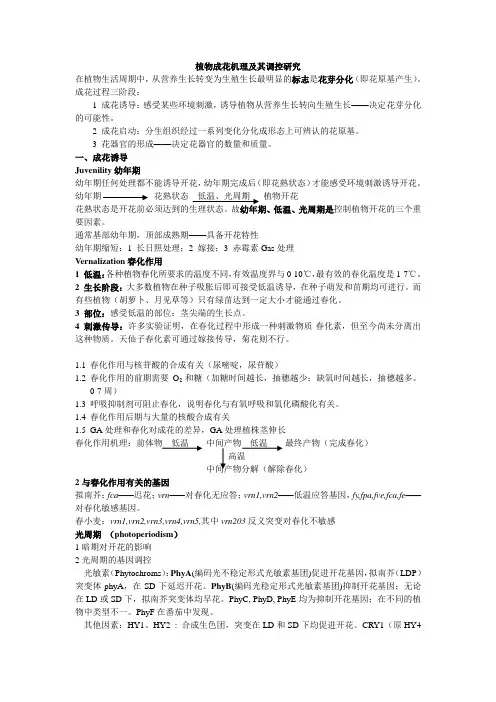 高级植物生理学