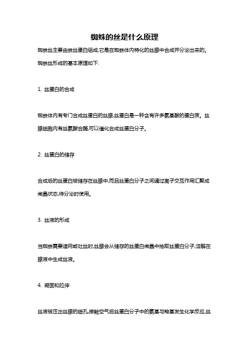 蜘蛛的丝是什么原理