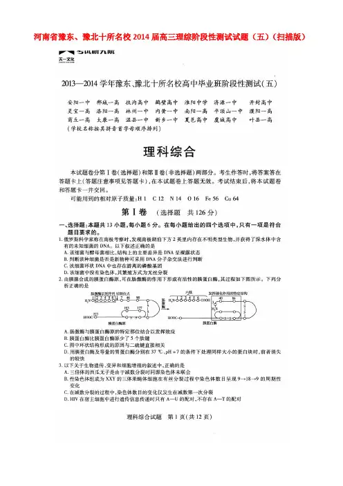 河南省豫东、豫北十所名校2014届高三理综阶段性测试试题(五)