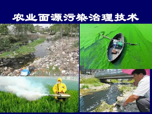 农业面源污染治理技术自编ppt课件