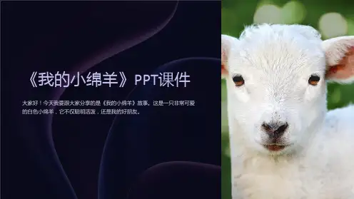 《我的小绵羊》课件
