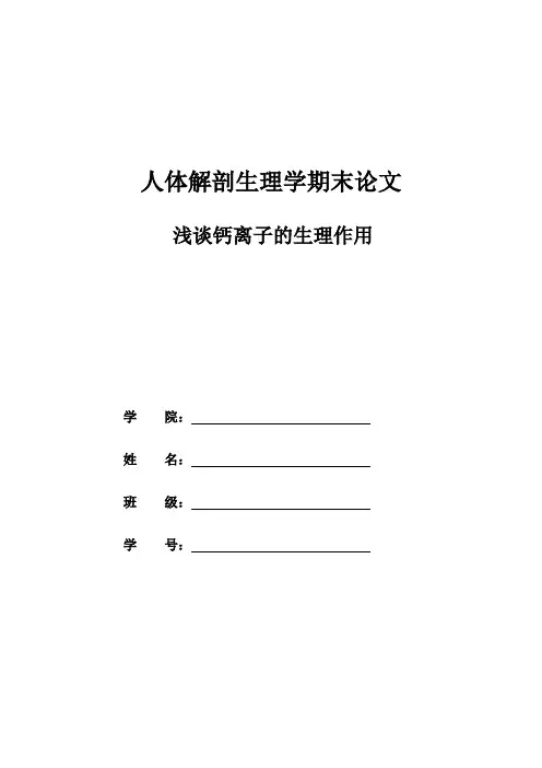 人体解剖论文