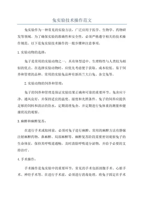 兔实验技术操作范文