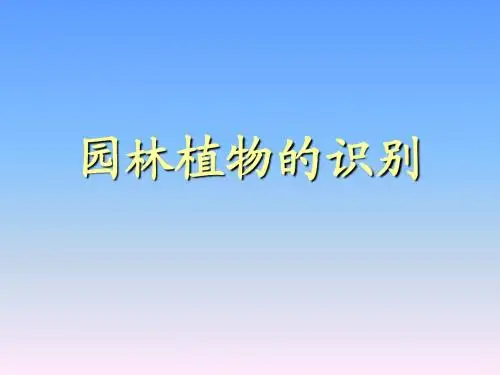 常见园林植物的识别(精品)