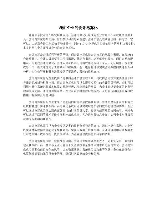 浅析企业的会计电算化