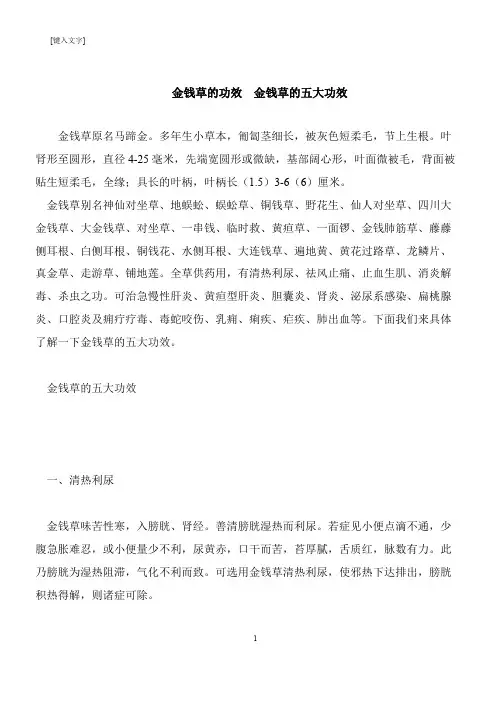 【推荐下载】金钱草的功效  金钱草的五大功效