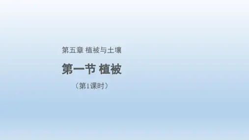 人教版必修一植被PPT课件