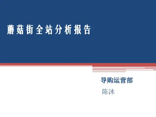 蘑菇街全站分析报告