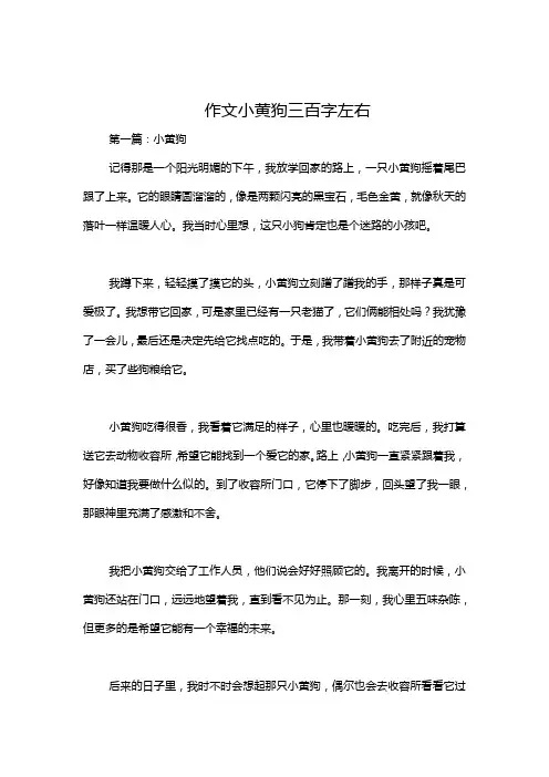 作文小黄狗三百字左右
