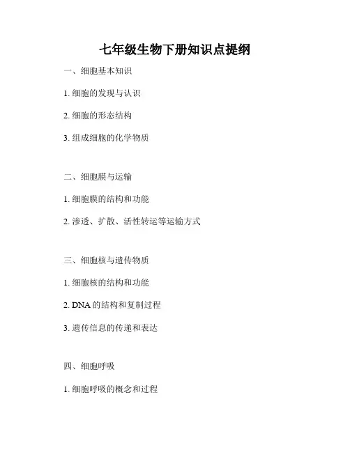 七年级生物下册知识点提纲
