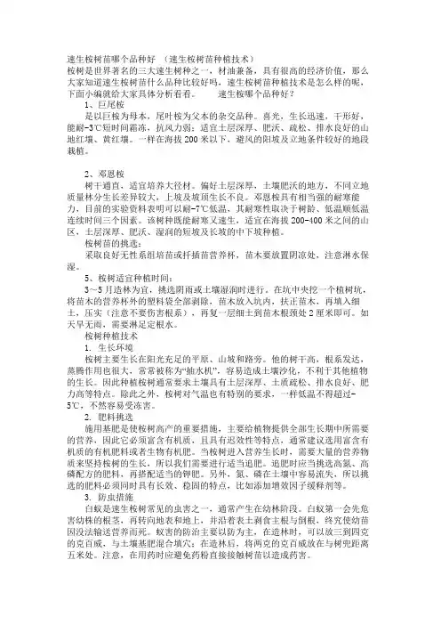 速生桉树苗哪个品种好 (速生桉树苗种植技术)