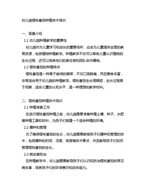 幼儿园樱桃番茄种植技术培训幼儿园种植教学