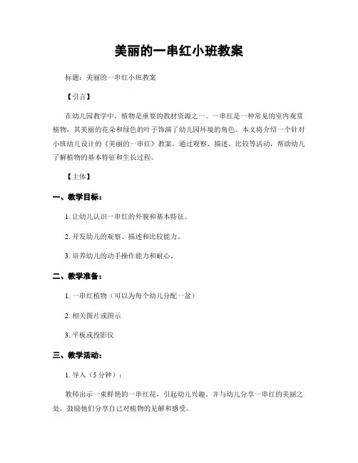 美丽的一串红小班教案