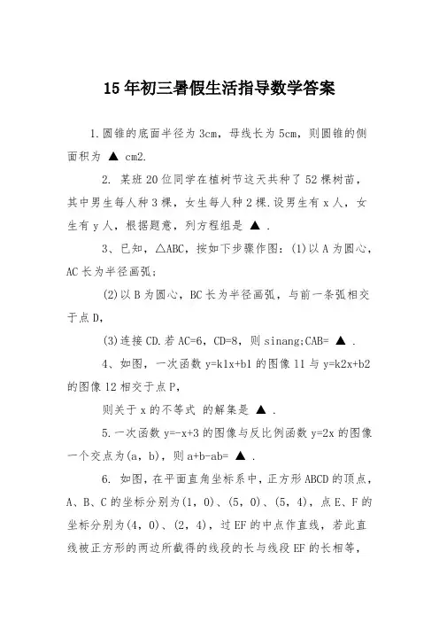 15年初三暑假生活指导数学答案