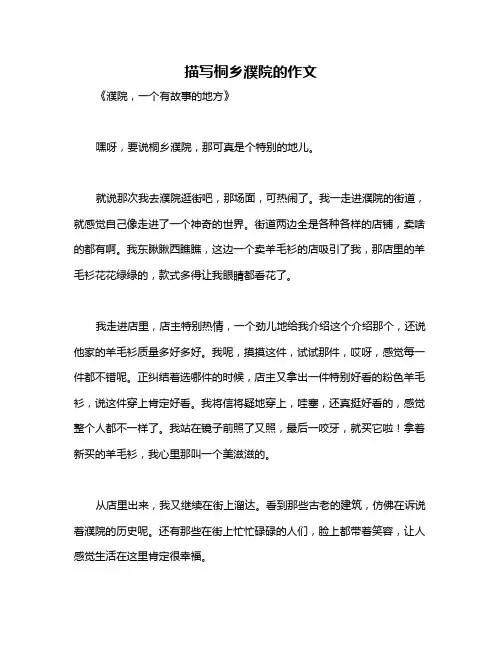 描写桐乡濮院的作文