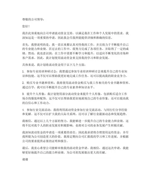 个人向公司流动资金申请书