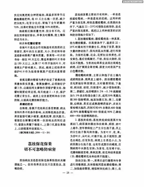 荔枝保花保果切不可忽略防病害