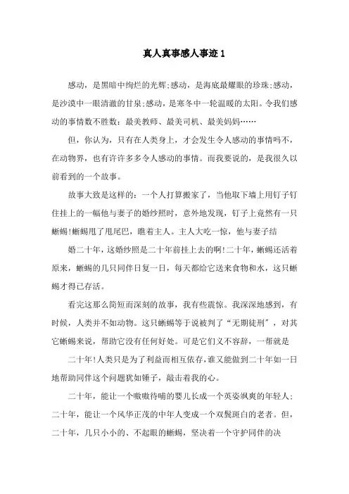 感动真人事迹五篇700字精选