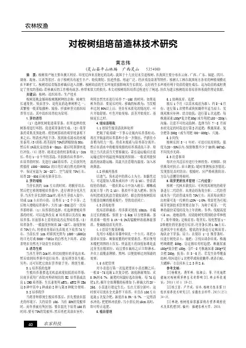 对桉树组培苗造林技术研究