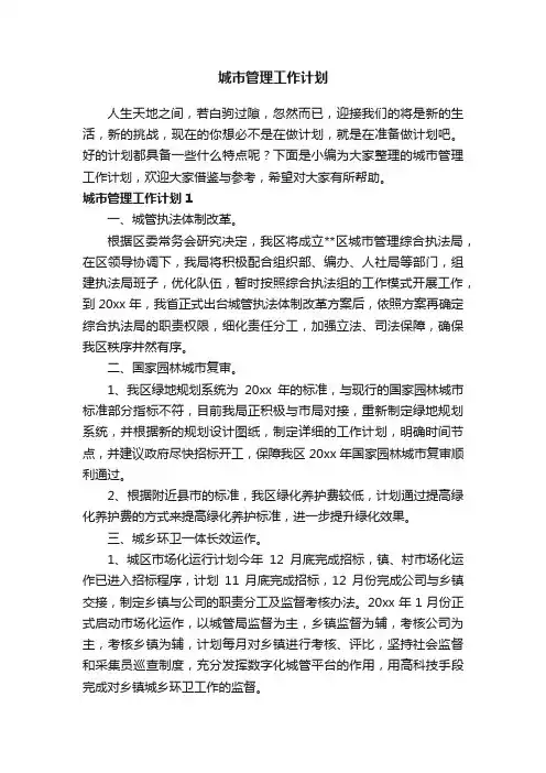 城市管理工作计划