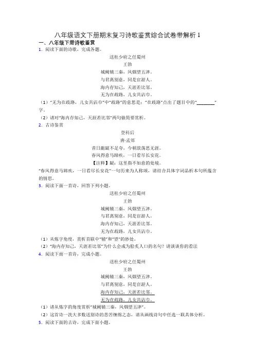 八年级语文下册期末复习诗歌鉴赏综合试卷带解析1