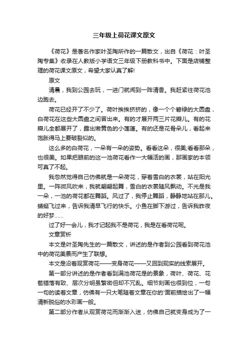 三年级上荷花课文原文
