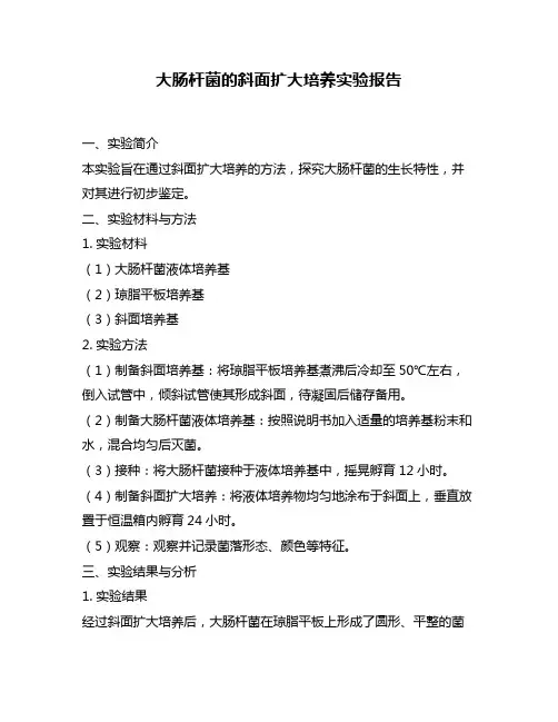 大肠杆菌的斜面扩大培养实验报告