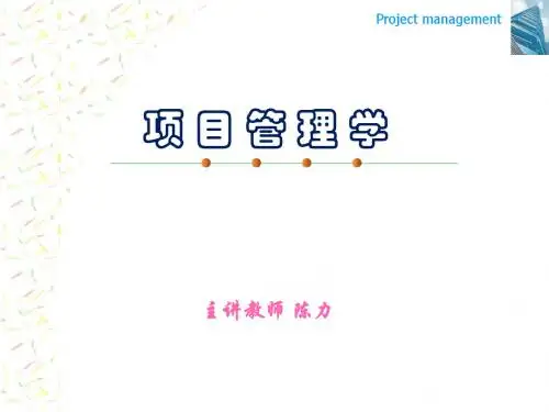 项目管理第三章项目组织管理