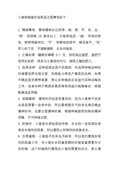 小麦种植操作流程及注意事项
