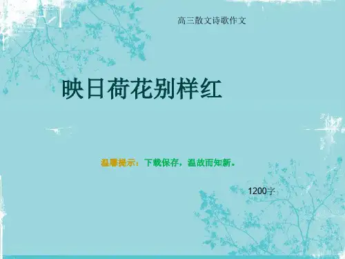 高三散文诗歌作文《映日荷花别样红》1200字