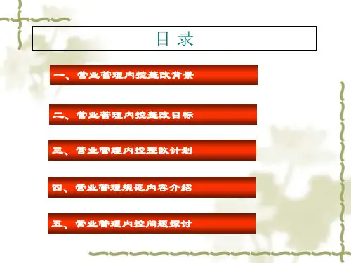 中国联通营业管理内控整改计划