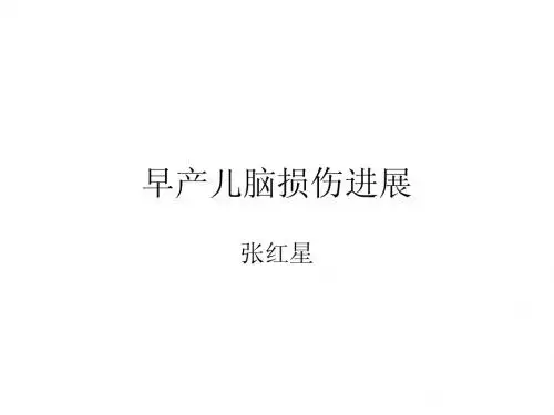 早产儿脑损伤进展