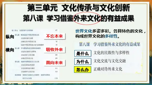 2022-2023学年高中政治统编版必修四8-1文化的民族性与多样性 课件(49张)
