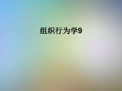 组织行为学9