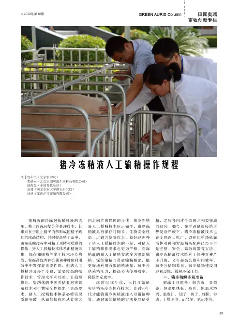 猪冷冻精液人工输精操作规程